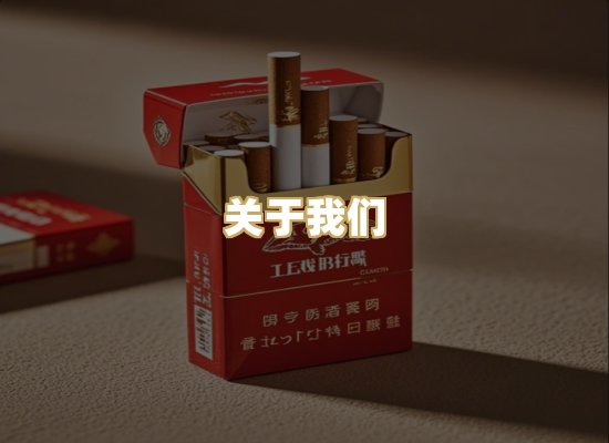 关于我们